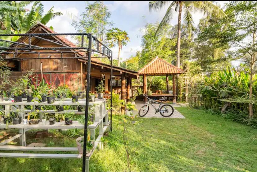 Al-Shifa Healing House Lombok Hotel Gili Air Kültér fotó